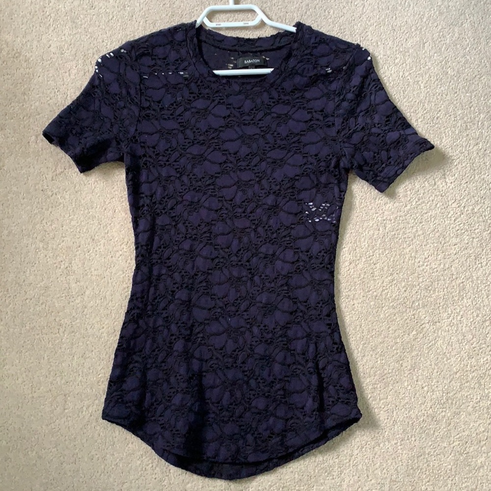 Babaton Aritzia Lace Top